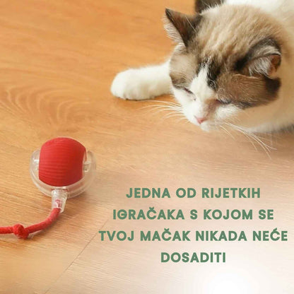 Pametna i interaktivna loptica za vašu mačku – Puni se putem USB-a