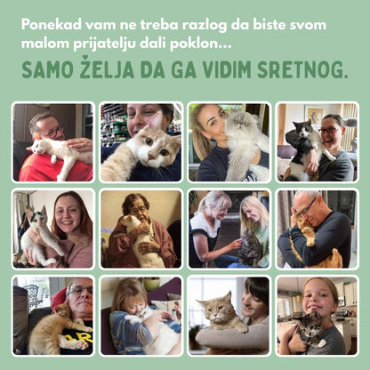 Pametna loptica za mačke, 100 % autonomna, dizajnirana da oponaša pravi plijen.