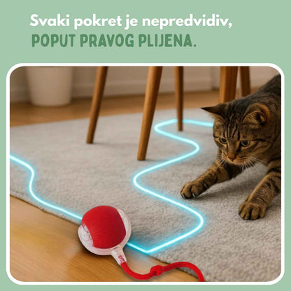 Pametna loptica za mačke, 100 % autonomna, dizajnirana da oponaša pravi plijen.