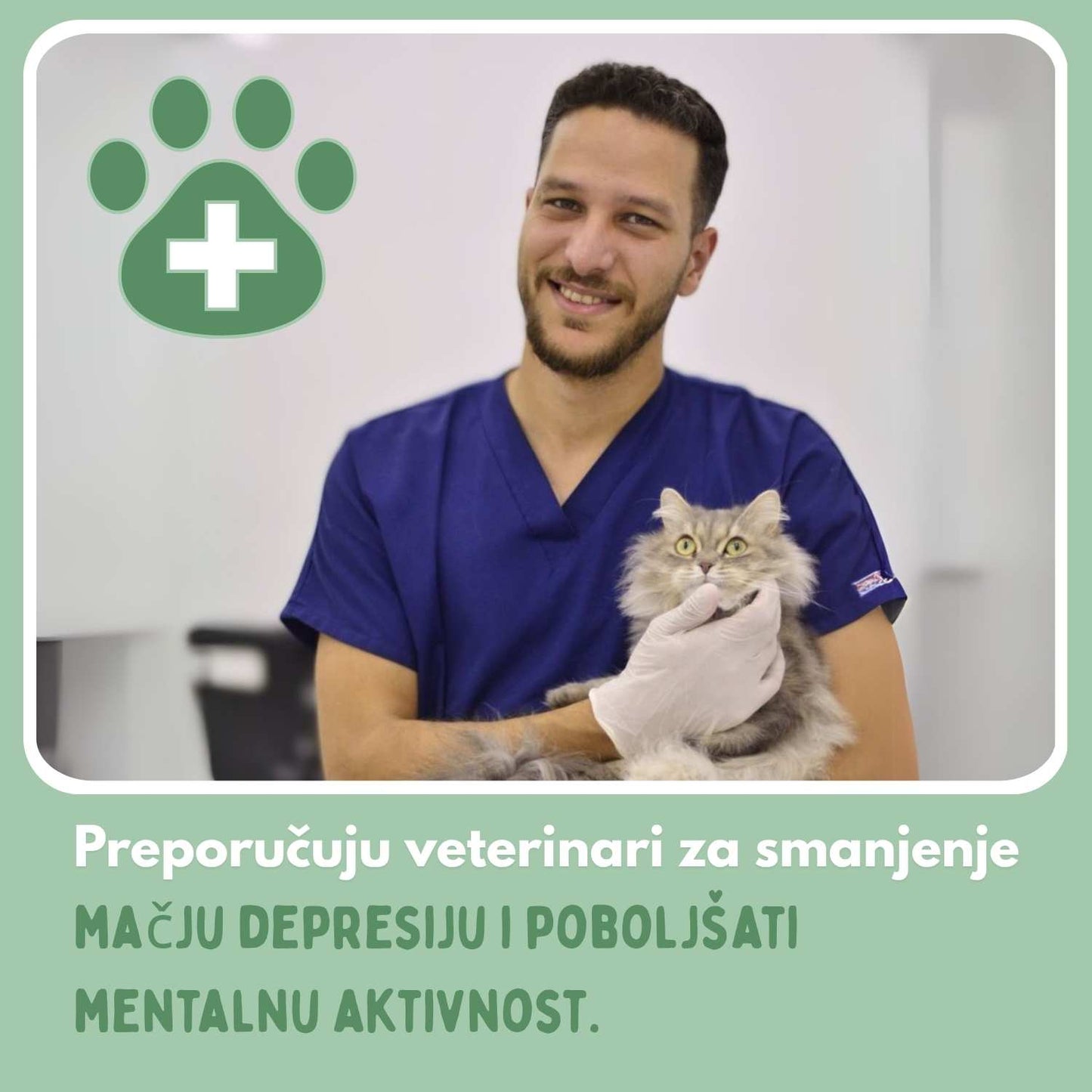 Pametna loptica za mačke, 100 % autonomna, dizajnirana da oponaša pravi plijen.