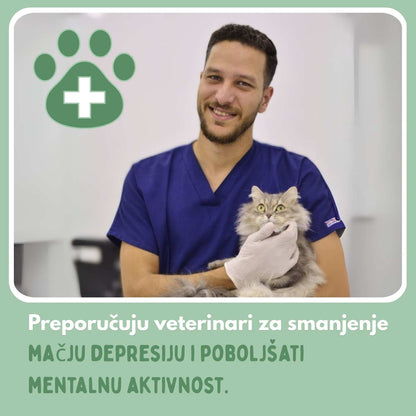 Pametna loptica za mačke, 100 % autonomna, dizajnirana da oponaša pravi plijen.