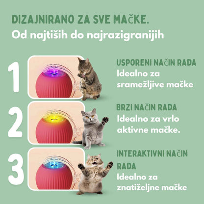 Pametna loptica za mačke, 100 % autonomna, dizajnirana da oponaša pravi plijen.