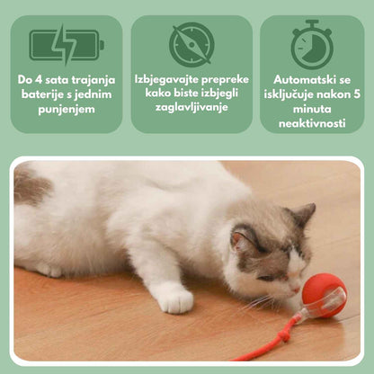 Pametna loptica za mačke, 100 % autonomna, dizajnirana da oponaša pravi plijen.