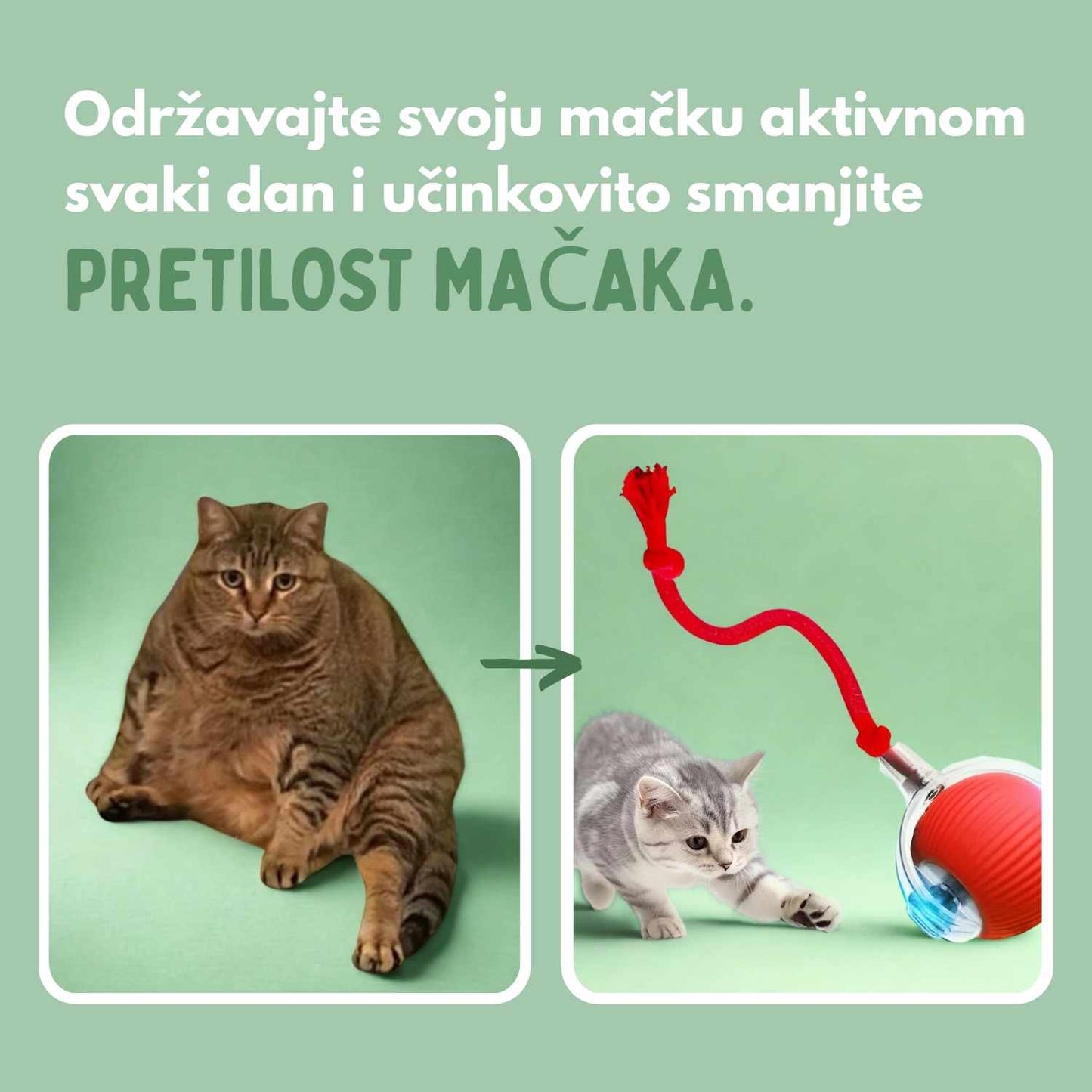 Pametna loptica za mačke, 100 % autonomna, dizajnirana da oponaša pravi plijen.