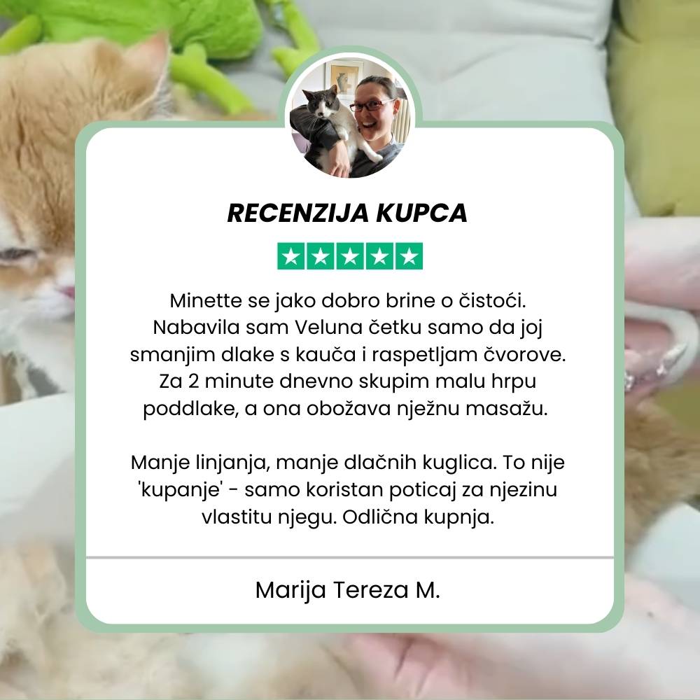 Višenamjenska parna četka 4‑u‑1 za mačke