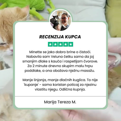 Višenamjenska parna četka 4‑u‑1 za mačke